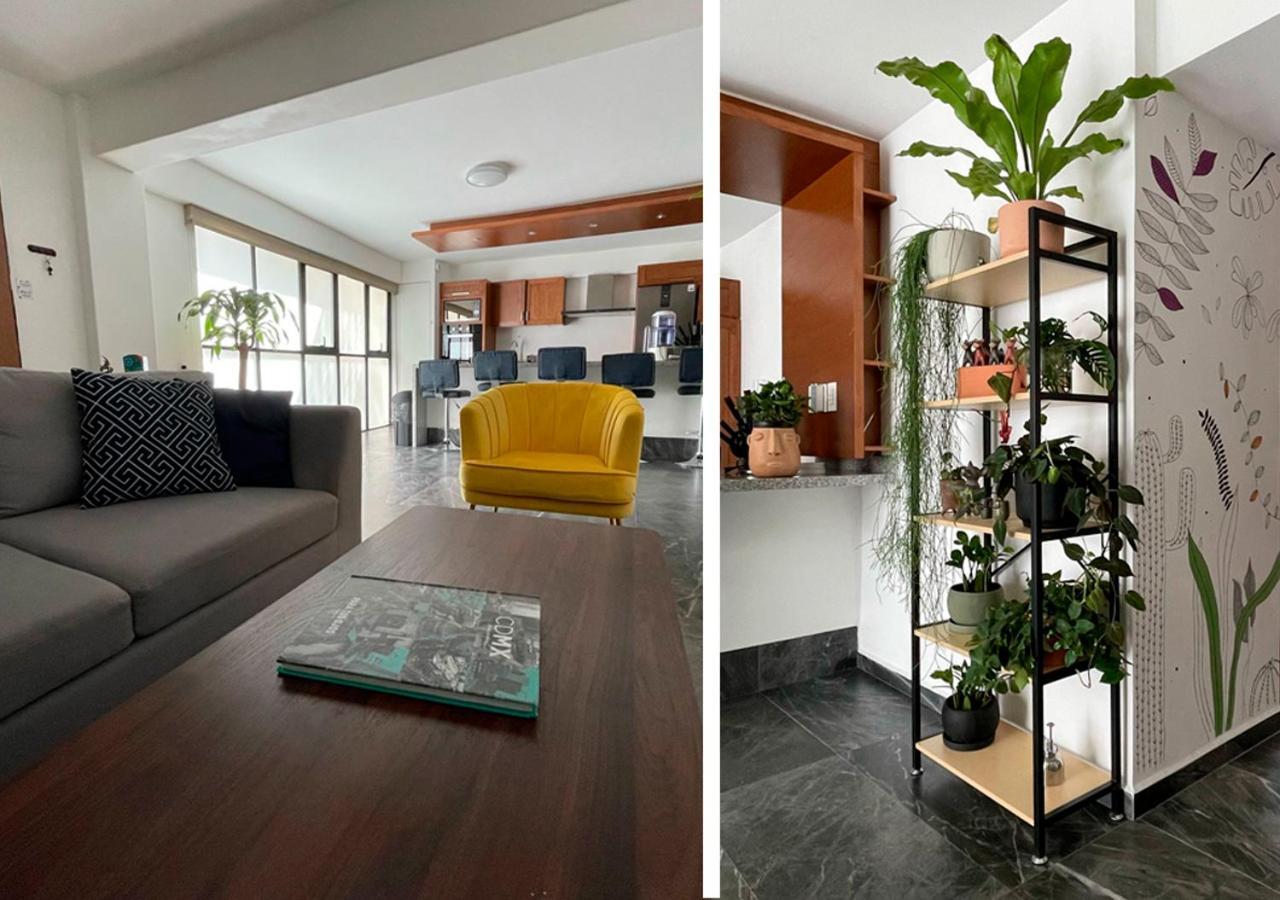 Great Apartment In The Heart Of Coyoacan メキシコシティ エクステリア 写真