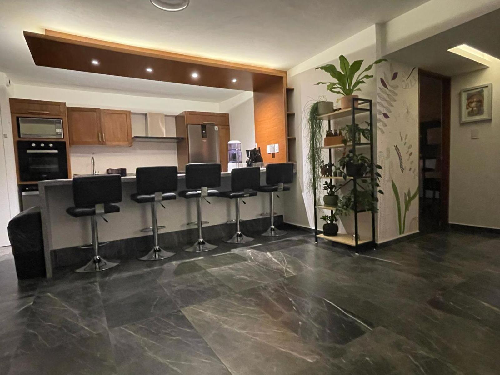 Great Apartment In The Heart Of Coyoacan メキシコシティ エクステリア 写真