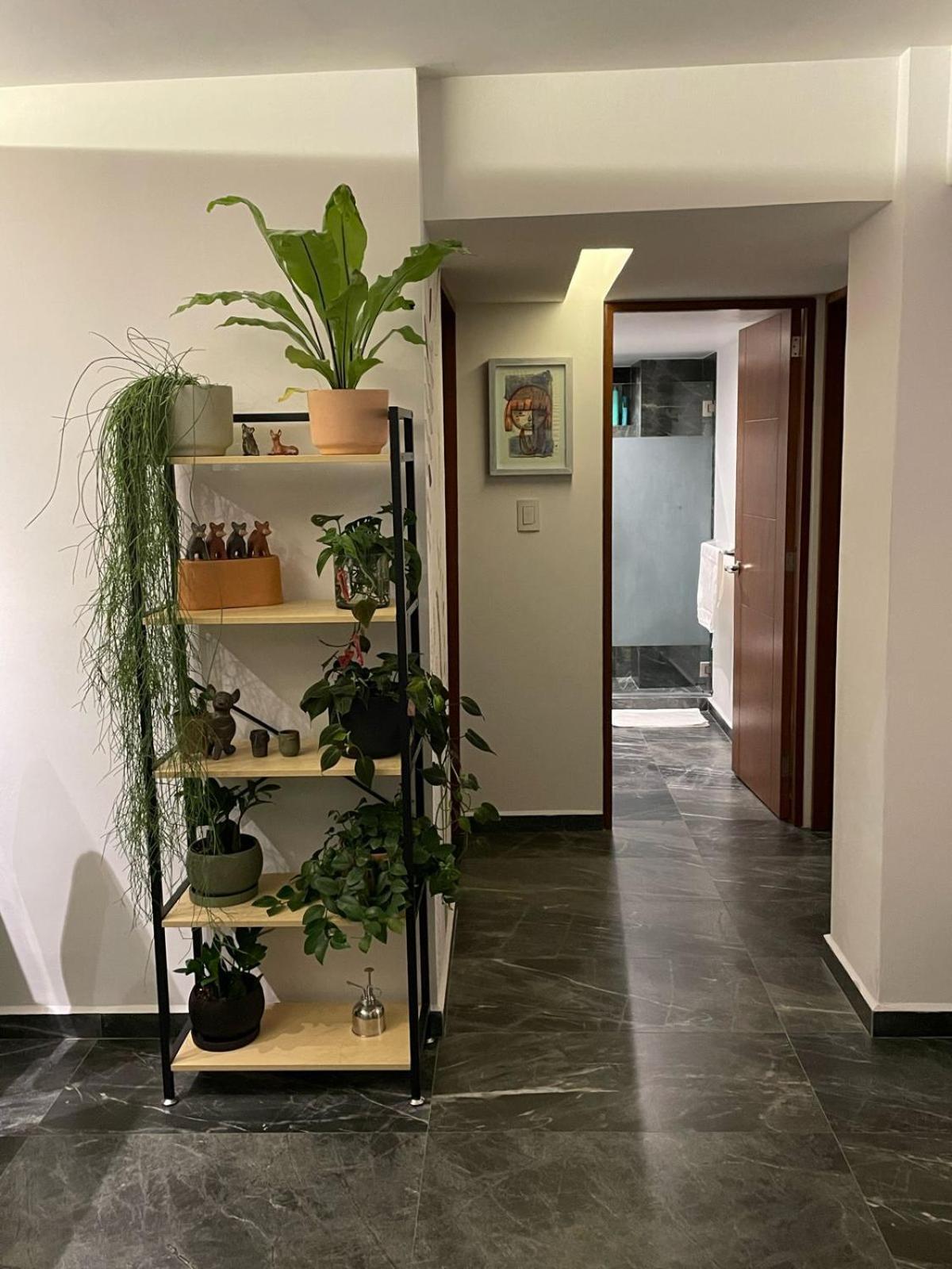 Great Apartment In The Heart Of Coyoacan メキシコシティ エクステリア 写真