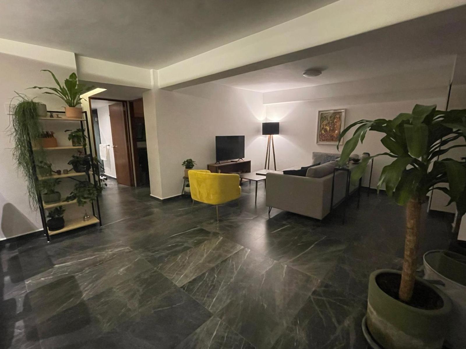 Great Apartment In The Heart Of Coyoacan メキシコシティ エクステリア 写真