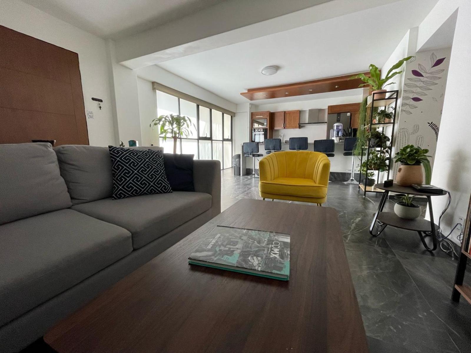 Great Apartment In The Heart Of Coyoacan メキシコシティ エクステリア 写真