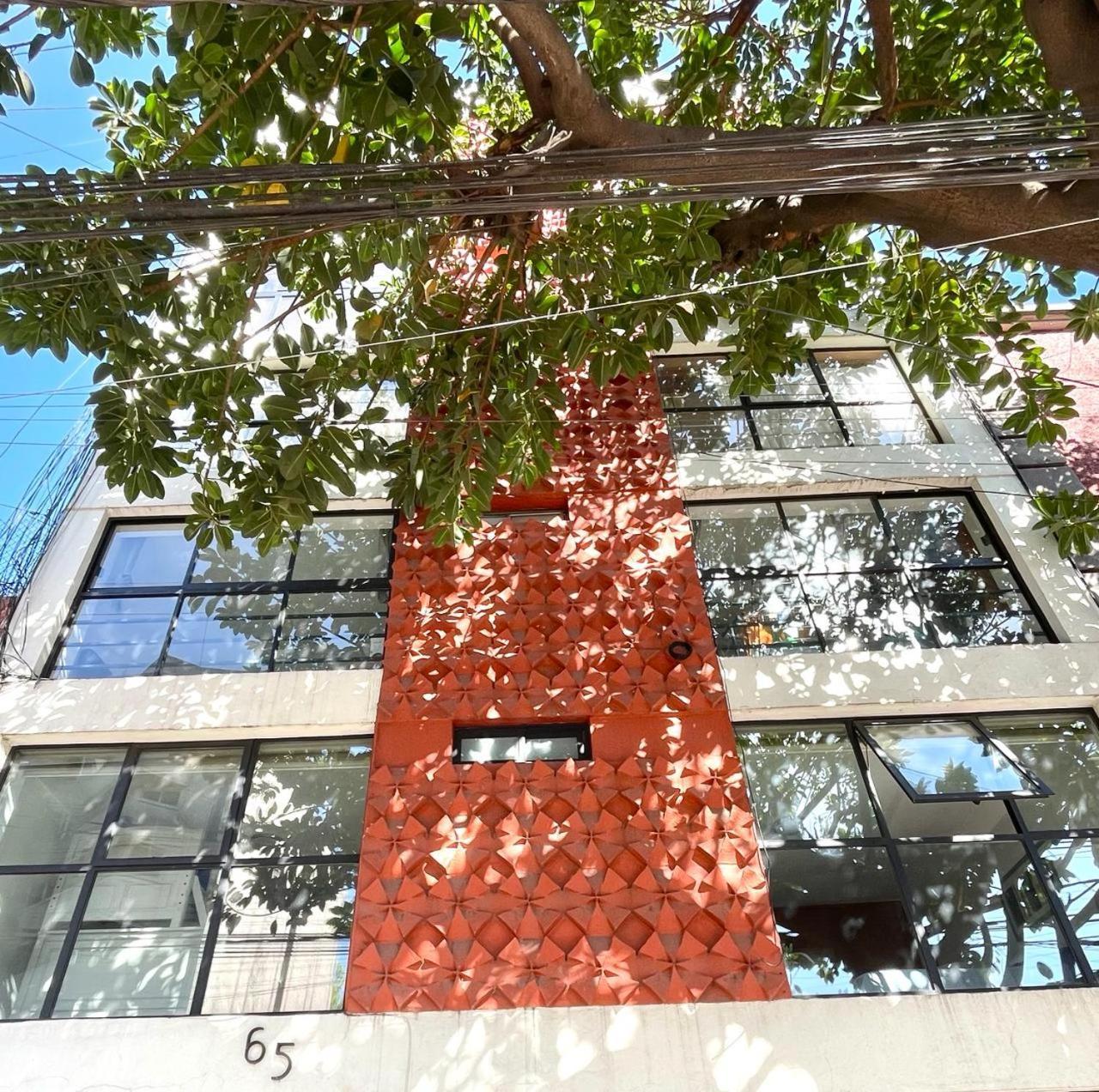 Great Apartment In The Heart Of Coyoacan メキシコシティ エクステリア 写真